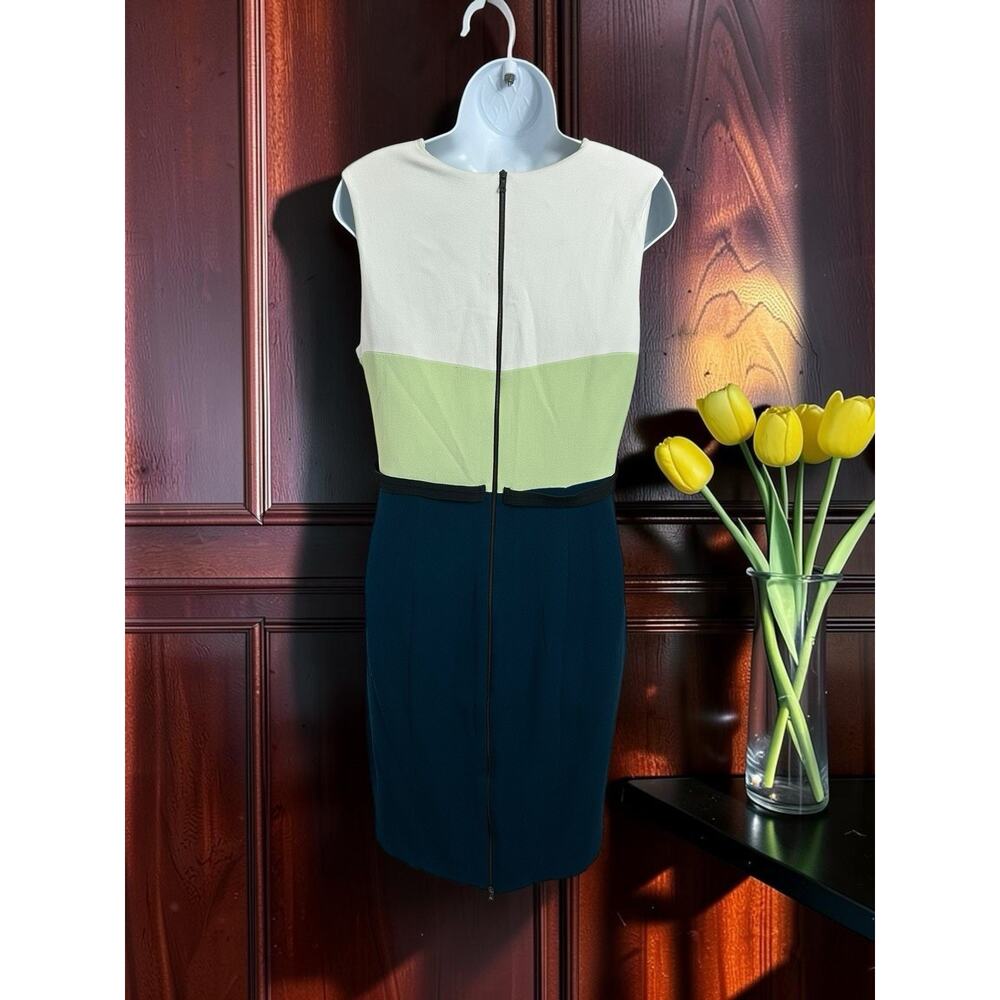 Narciso Rodriguez Colorblock Sheath Midi Dress Sz 14 US 46 EUR Silk Lining - Picture 8 of 8
